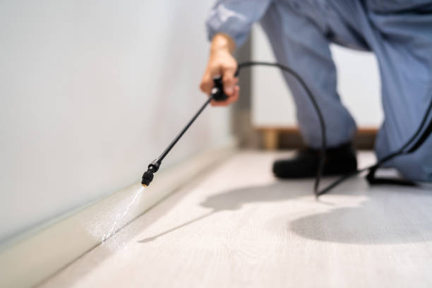 Licensed Exterminator service in Louisville, CO - Show Me Pest Control